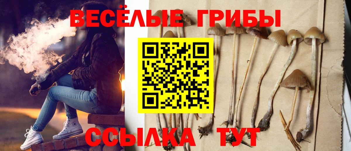 Горячий Ключ  Псилоцибиновые грибы MAGIC MUSHROOMS  Вход с VPN 